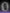 MSI DESKTOP CORE I5 14500 3,5GHZ 8GB RAM DDR4 SSD256GB + PANTALLA L MSI MN 24.5