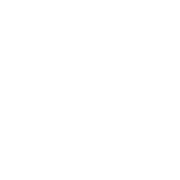 Outlet X
